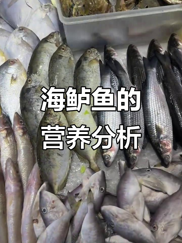 野生海鲈鱼的营养价值与常见海鲜市场鱼类解析