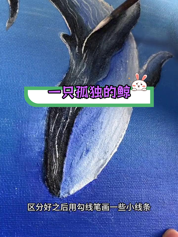 画鲸鱼,从海到孤岛的旅程