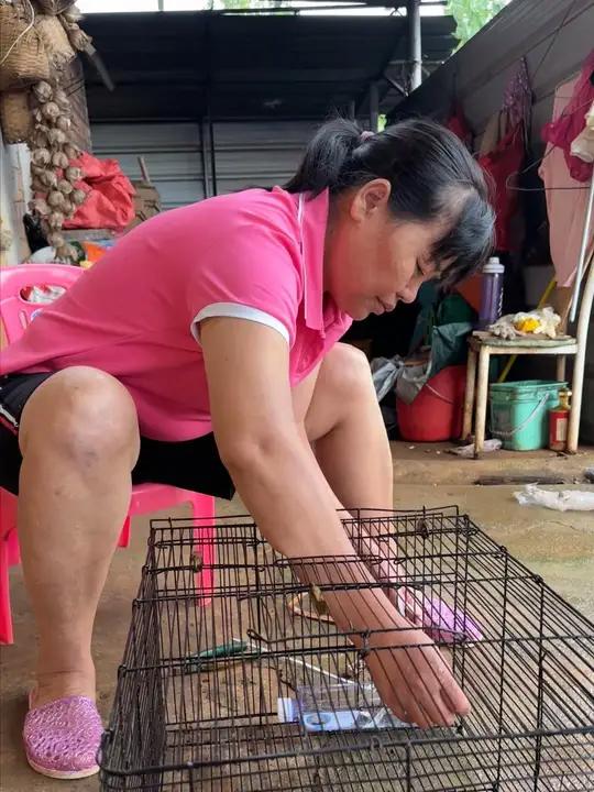 做个水槽给小鸭子喝水