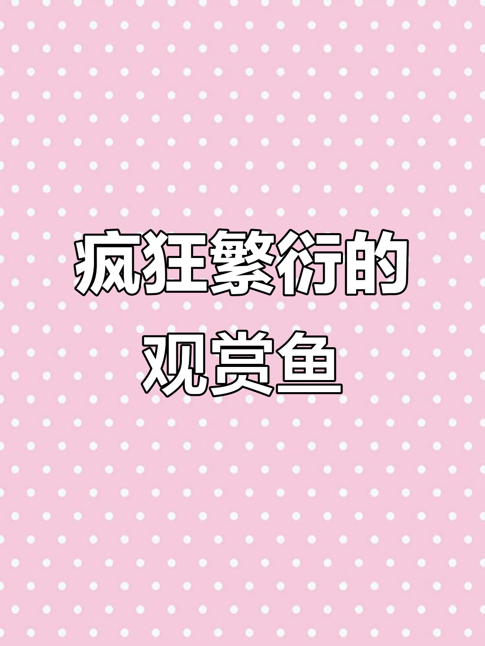 这种观赏鱼繁殖力惊人,一不小心就成了卖鱼的!