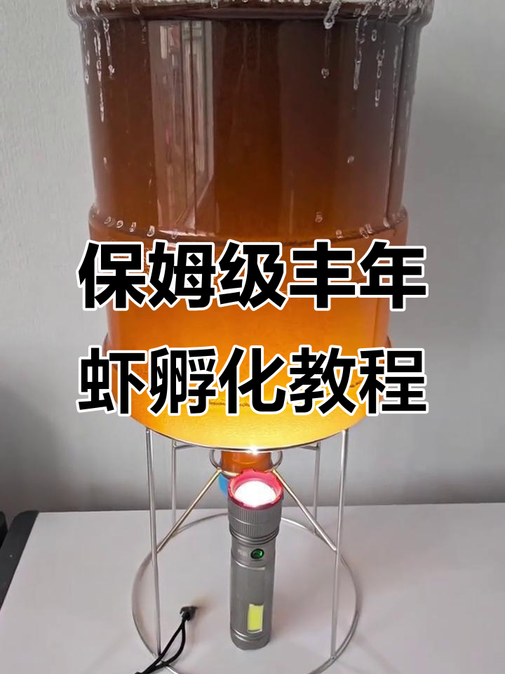 丰年虾孵化全攻略：比例、步骤一学就会