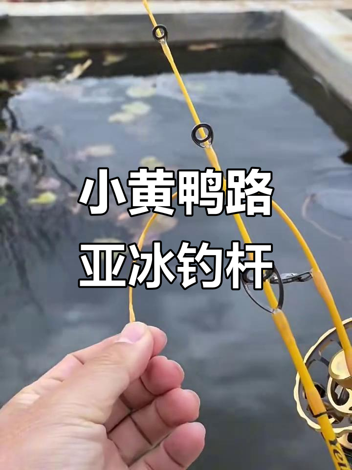 威海小黄鸭路亚冰钓竿:软硬双稍设计,轻松应对大鱼小鱼