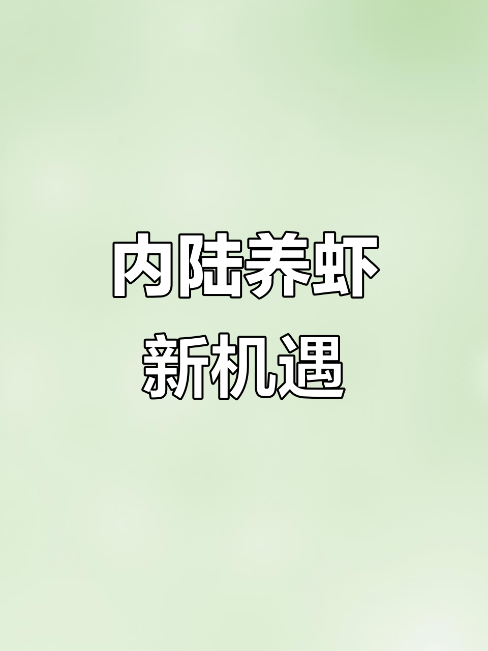 山西盐碱地变虾池,南美白对虾产业蓬勃发展!