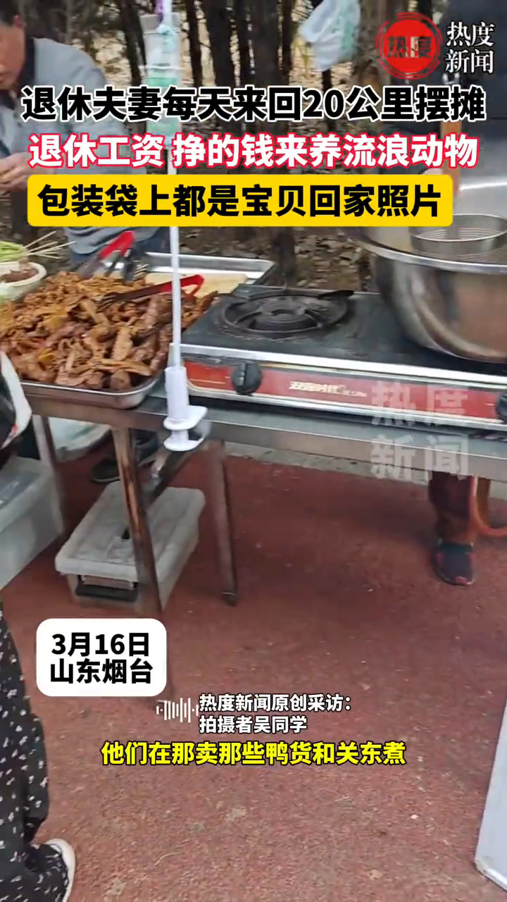 退休夫妻每天来回20公里摆摊,退休工资、挣的钱来养流浪动物