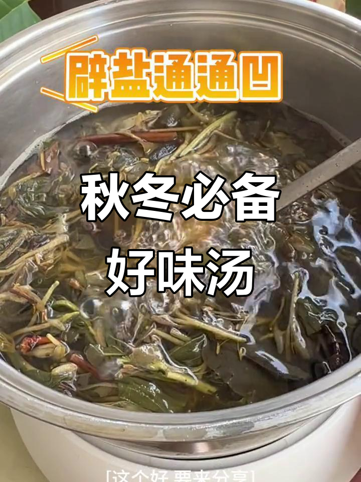 广东靓汤推荐,秋季必试美味