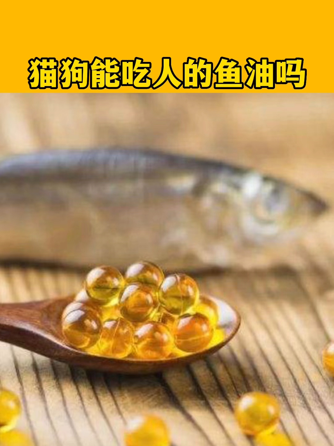 猫狗能吃人吃的鱼油吗?