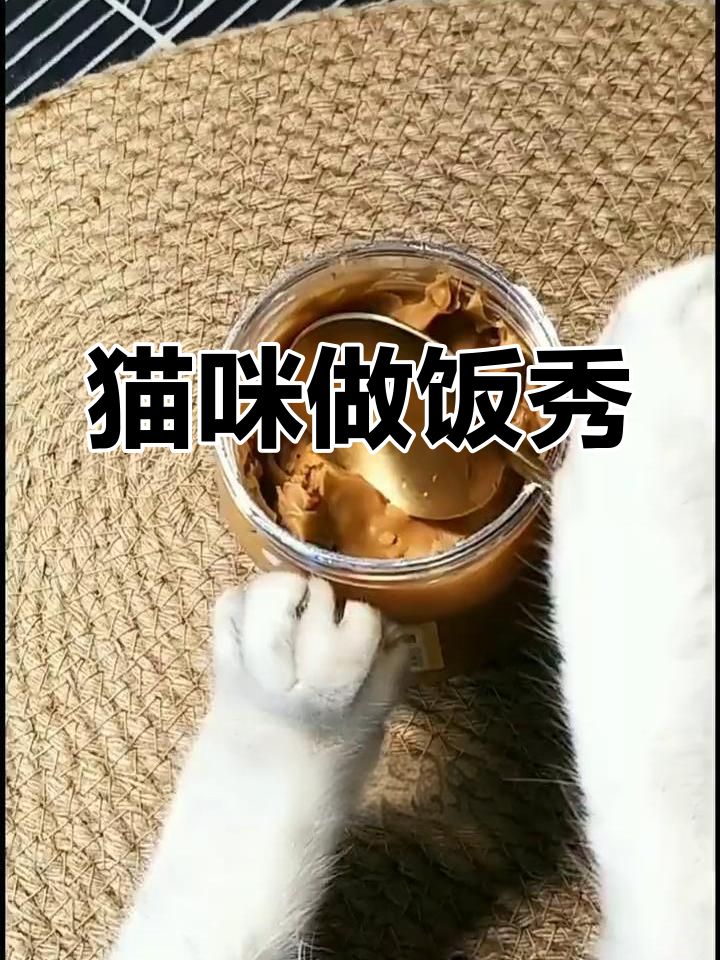 猫咪变身大厨,亲手做凉面,摆盘精致超有趣!