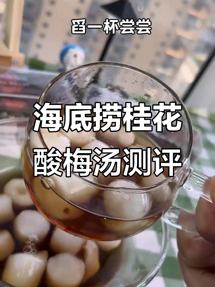 这款海底捞同款酸梅汤,冰爽又好喝!