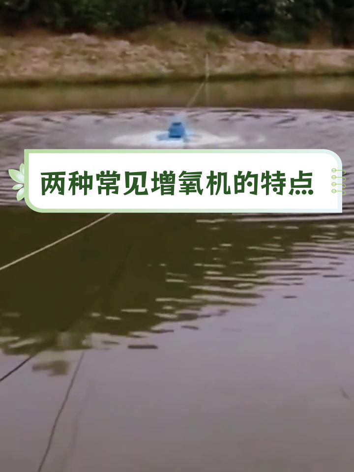 增氧机种类对比:涌浪式与叶轮式的优缺点