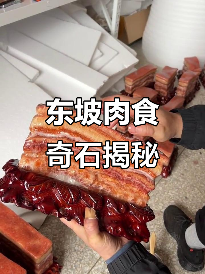 广西东坡肉食奇石,天然纹理与颜色惊艳登场