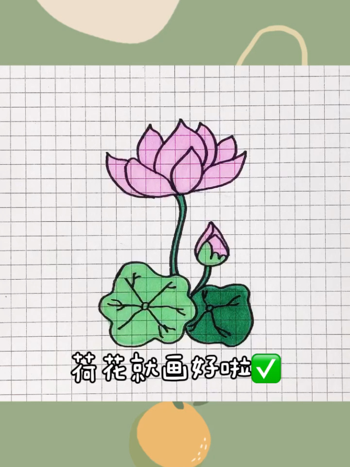 最简单荷花简笔画,只要7步