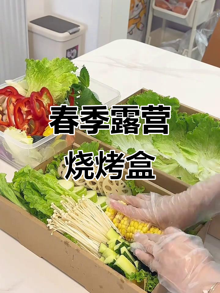 春天露营必备!烤肉盒子、生菜金针菇搭配,完美野餐准备
