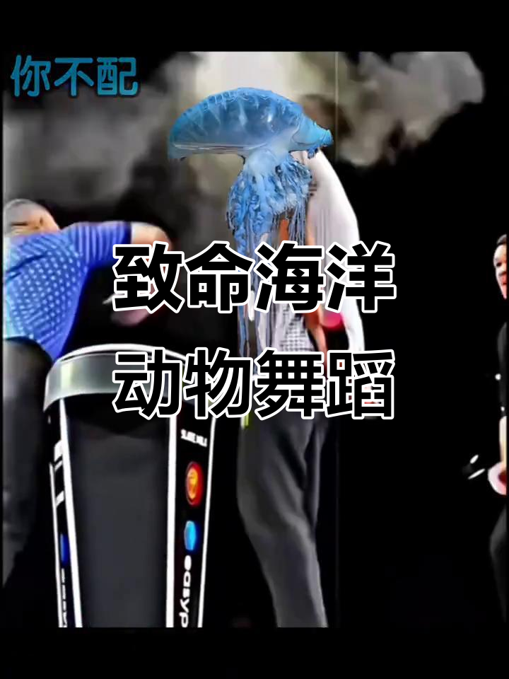 澳洲箱水母、蓝环章鱼与鸡心螺:海洋中的致命舞者