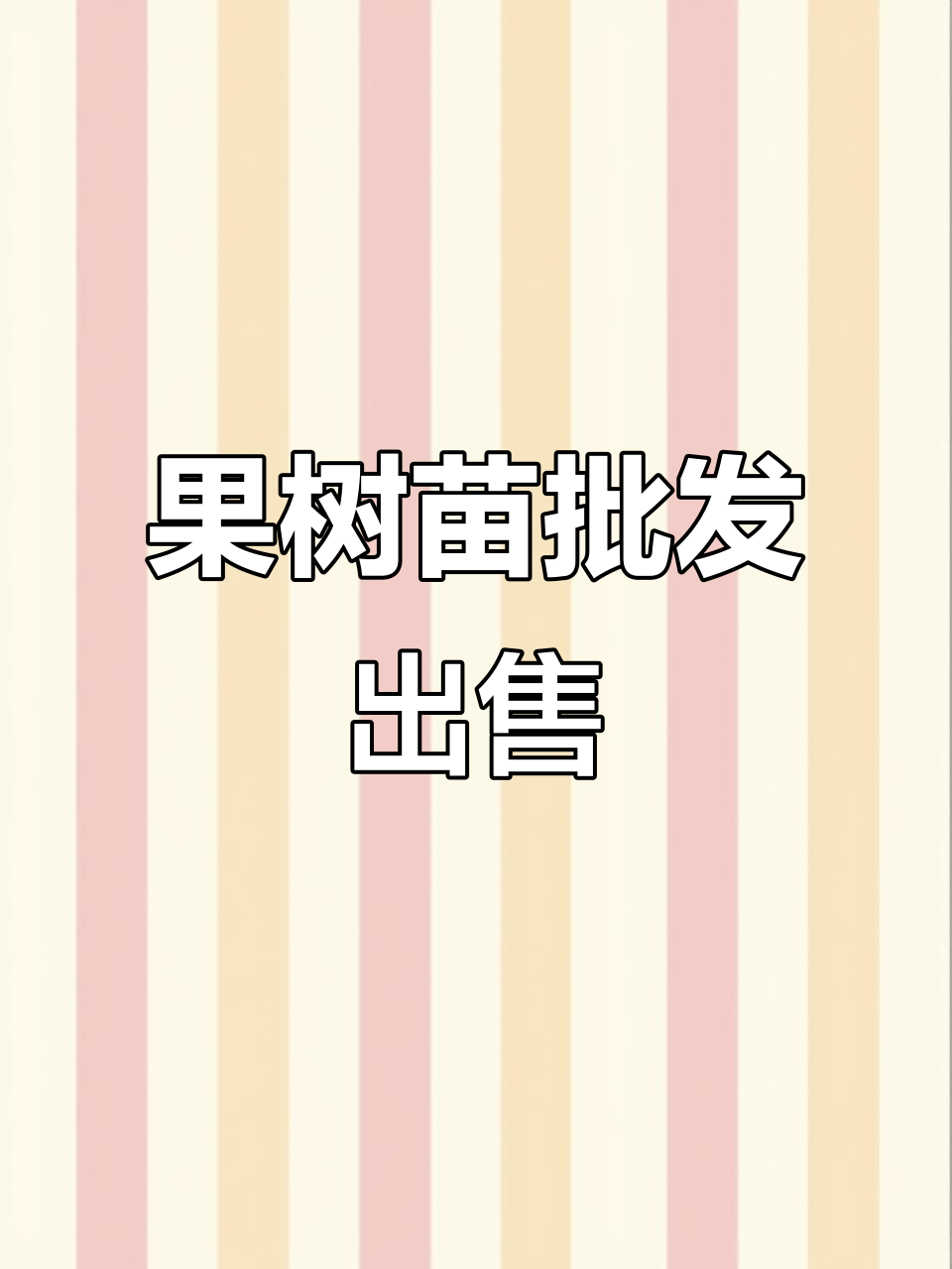 河南各地果树苗批发,品种丰富,价格实惠