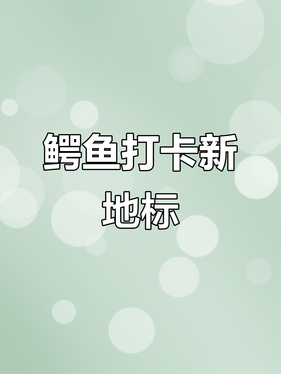 Lacoste临沂店重装开业,巨型鳄鱼打卡点等你来拍!