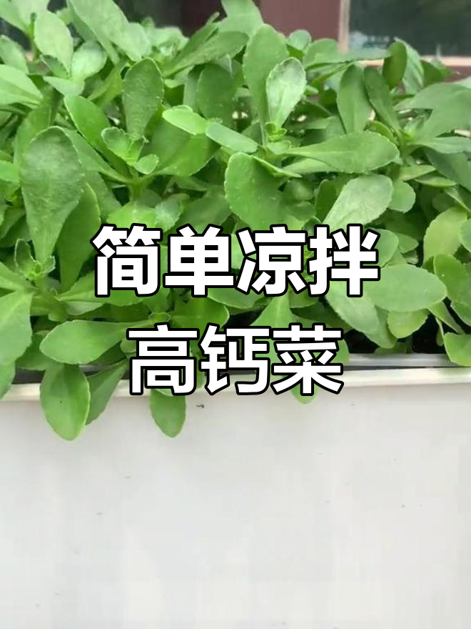 高钙救心菜凉拌做法