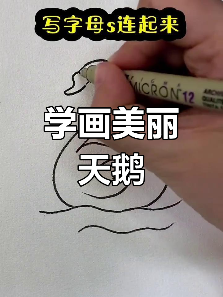 简单易学的儿童天鹅简笔画教程