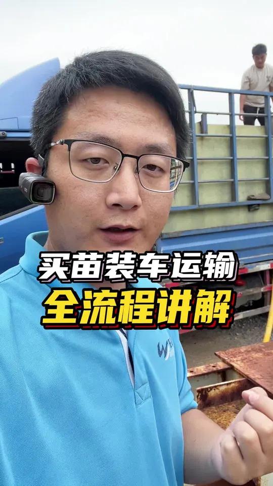 长途运输买加州鲈鱼苗的安全操作全流程，值得参考