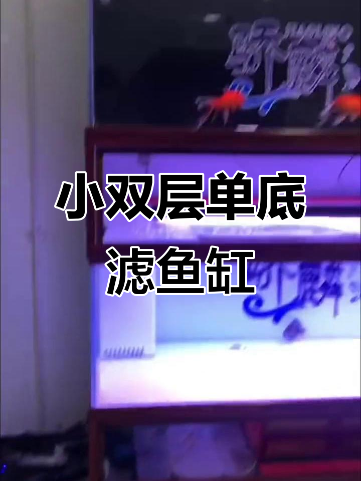 单底滤小双层鱼缸制作详解,超白玻璃与铝合金包边设计