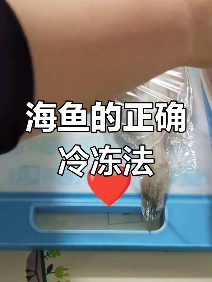 冷冻海鱼保存技巧,保持口感不干柴