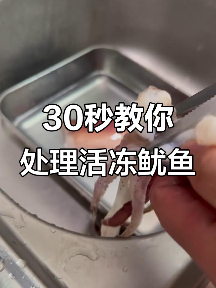 快速学会活冻鱿鱼处理方法,简单又实用