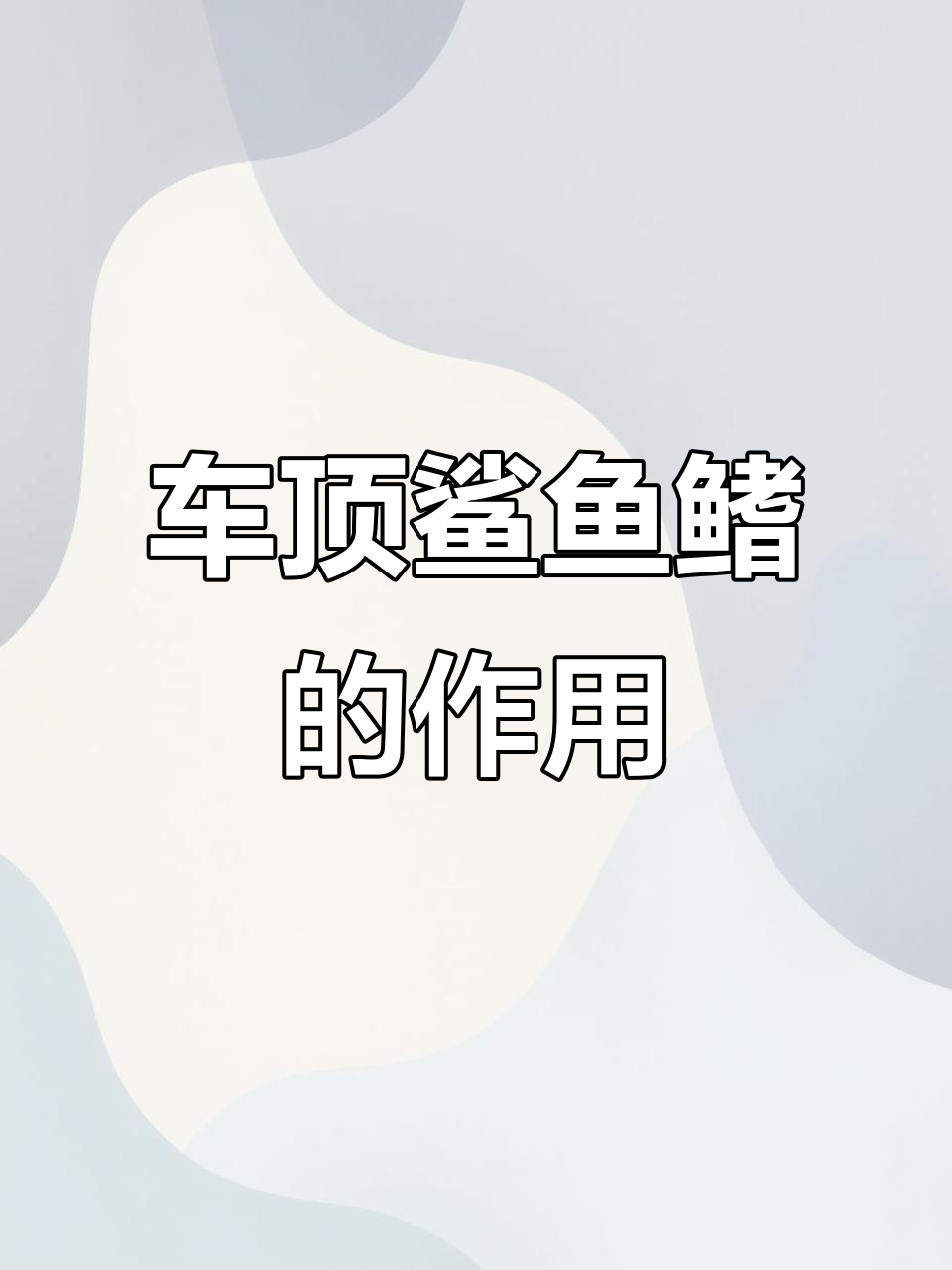 鲨鱼鳍到底有啥用?高速行驶中的神奇作用揭秘