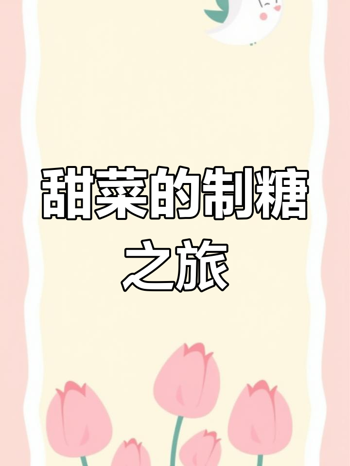 甜菜如何变身白糖?揭秘制糖工艺的奇妙过程