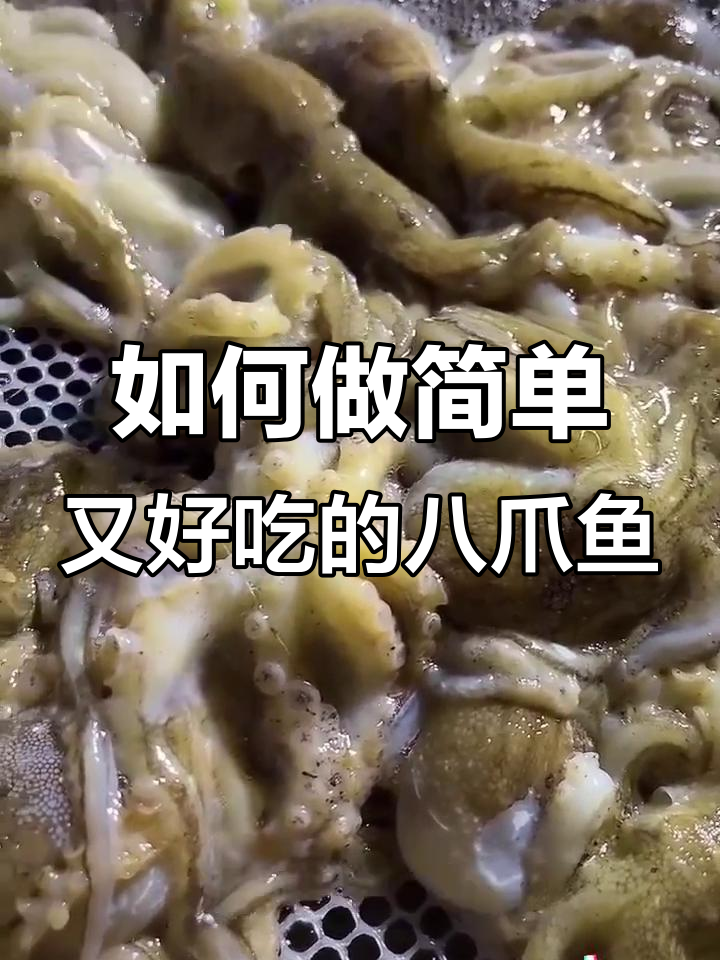 短腿八爪鱼清洗与白灼吃法全攻略