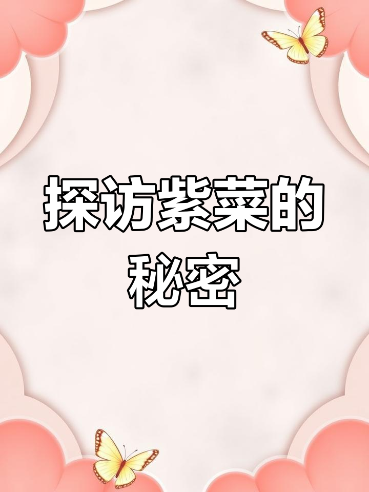 紫菜生长地大揭秘,赶海漂流带你亲历!