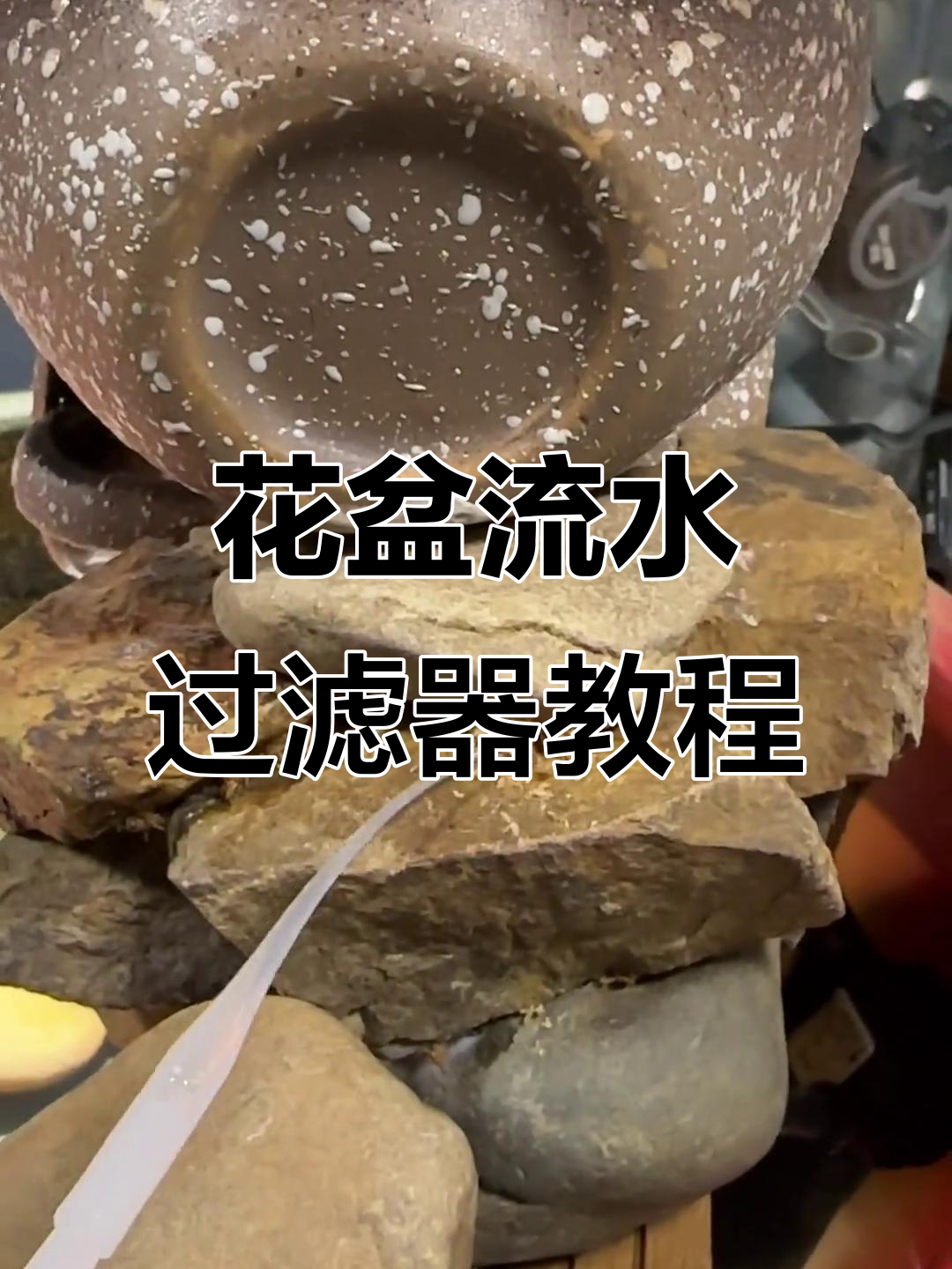 用两个小花盆打造鱼缸过滤系统,简单又实用