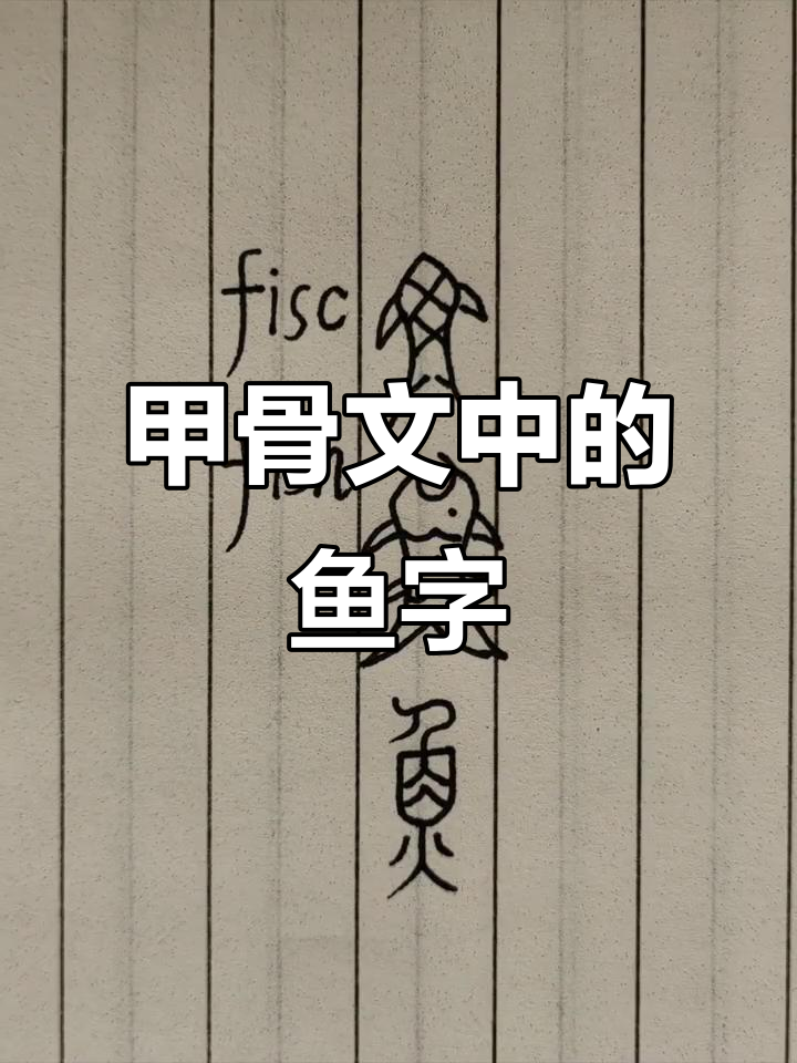 甲骨文的鱼字演变：从形象到线条的简化