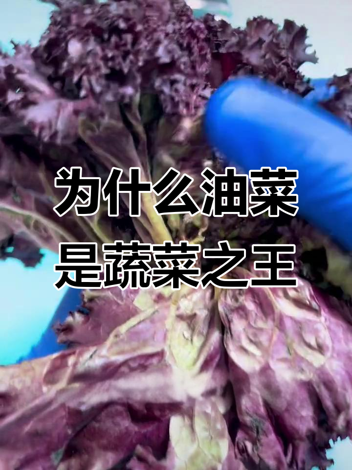 油菜为何被称为“蔬菜皇后”?显微镜下揭秘它的秘密
