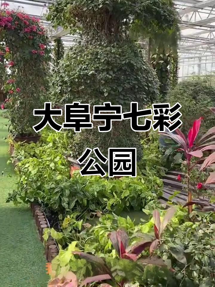 大阜宁七彩公园,色彩斑斓的快乐天地