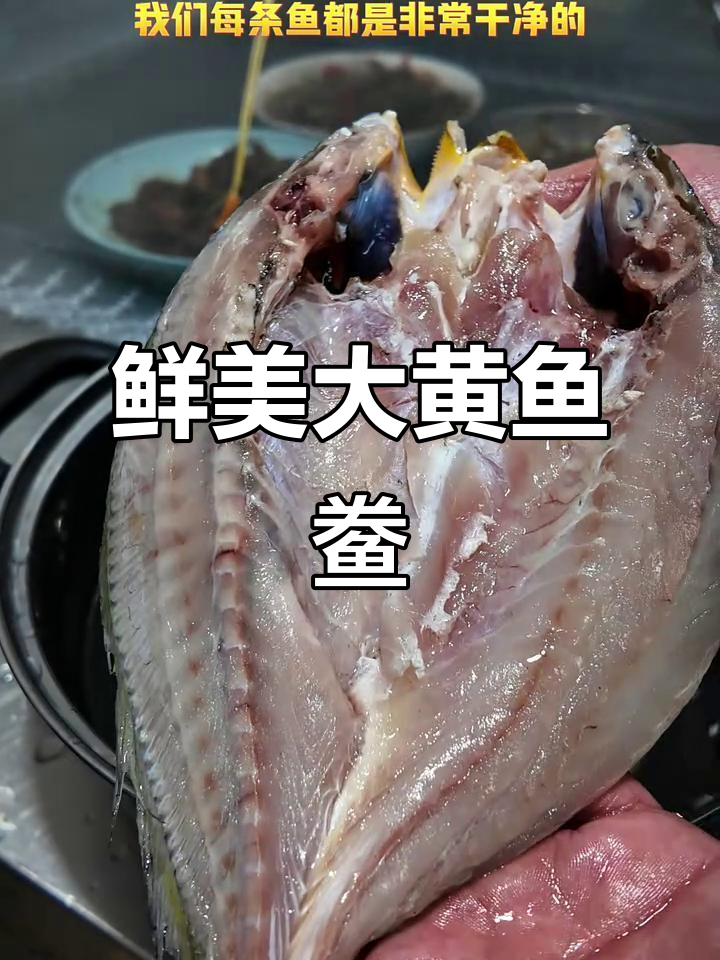 大黄鱼鲞鲜嫩美味,营养满满让人无法抗拒