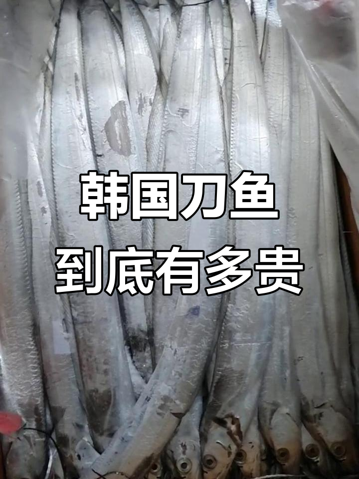 韩国刀鱼价格惊人,十斤一箱能吃多久?