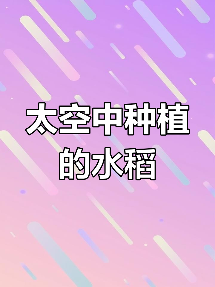 太空中的水稻生长实验揭秘