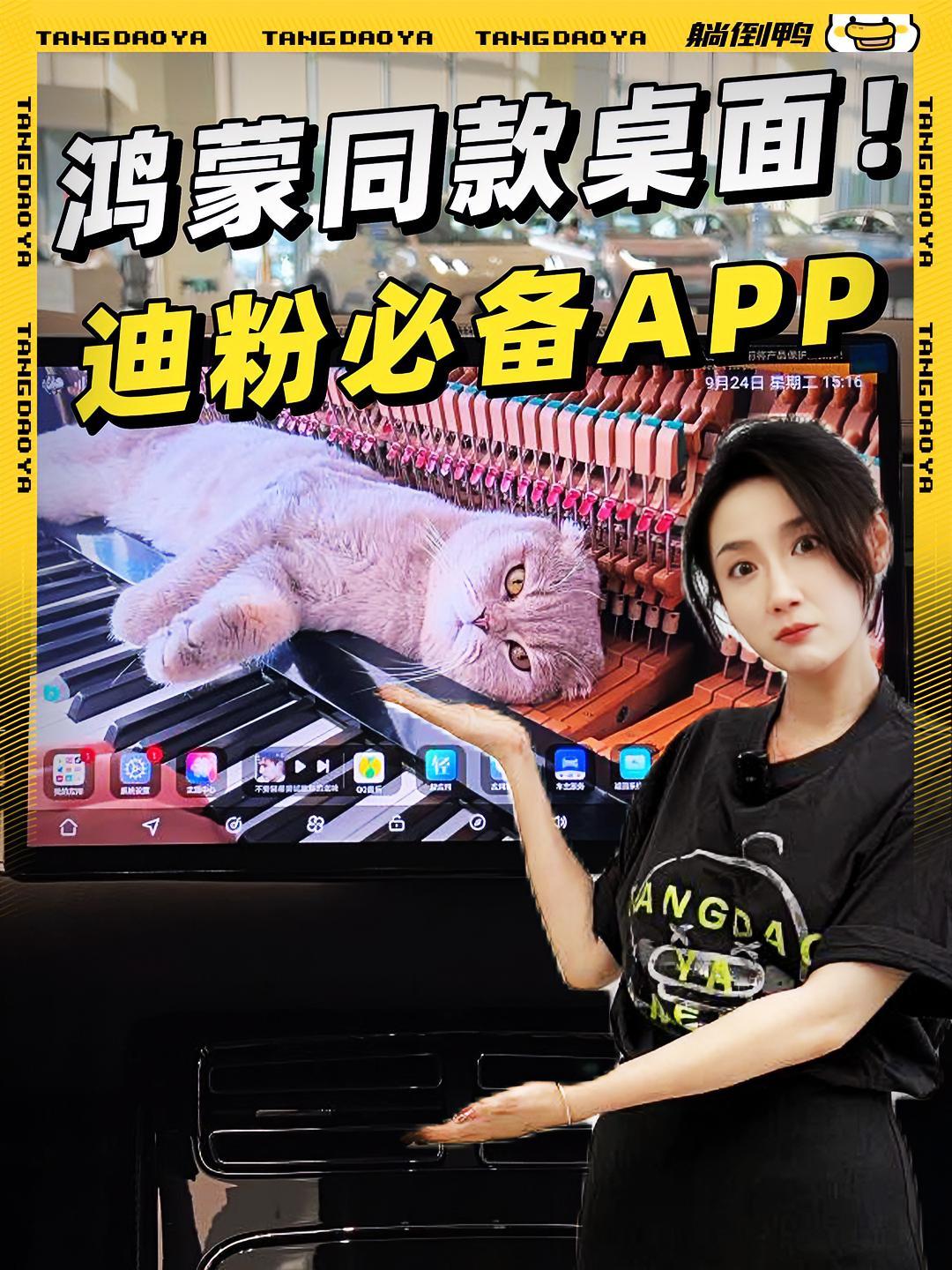 拯救比亚迪车机!秒变鸿蒙同款桌面……比亚迪 比亚迪汽车 安卓车机 车机软件 比亚迪车机软件