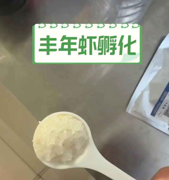 丰年虾孵化