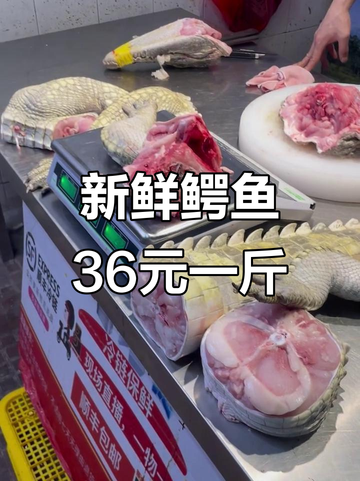 新鲜活体鳄鱼肉,36元一斤,肉质鲜美不容错过