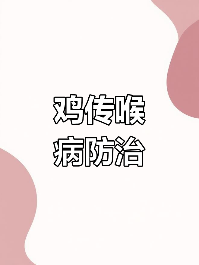 鸡传喉病大爆发,气管充血、咳血痰,养殖户必看解决方案