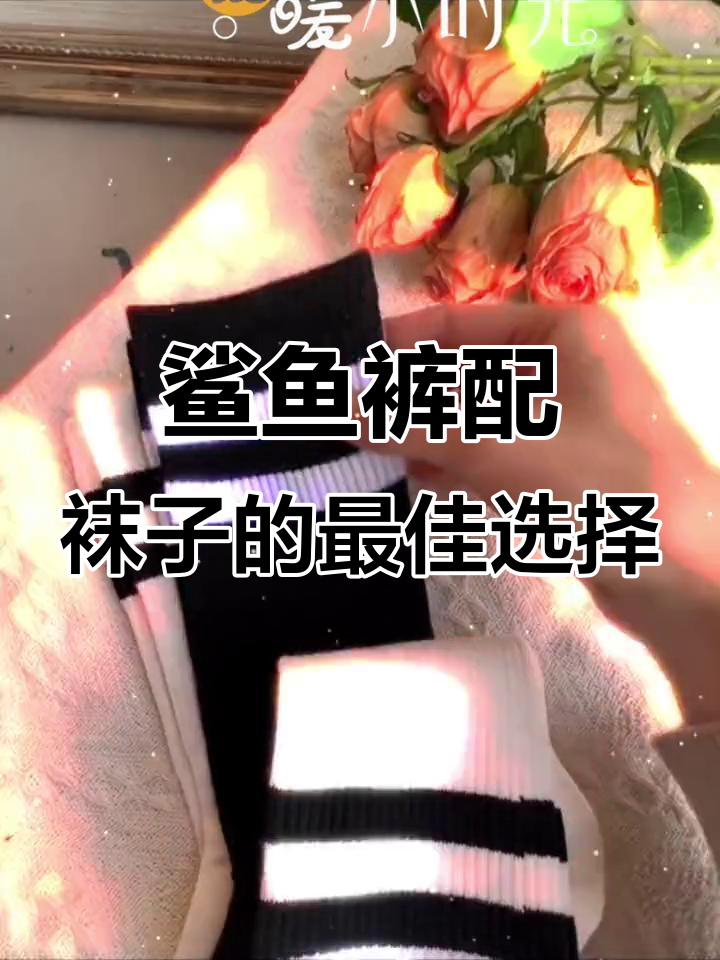 鲨鱼裤搭配什么颜色袜子最合适?
