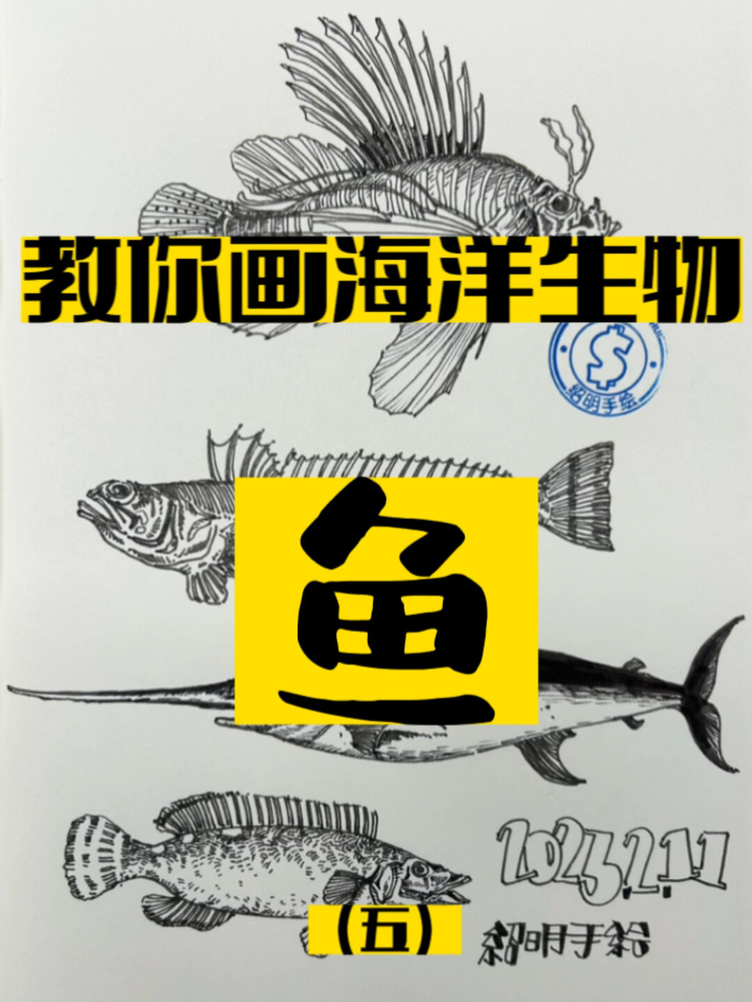 教你画海洋生物-鱼(五)