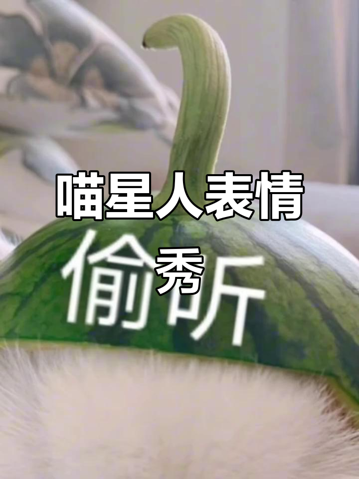 猫咪表情包大集结,萌态百出,聊天必备!