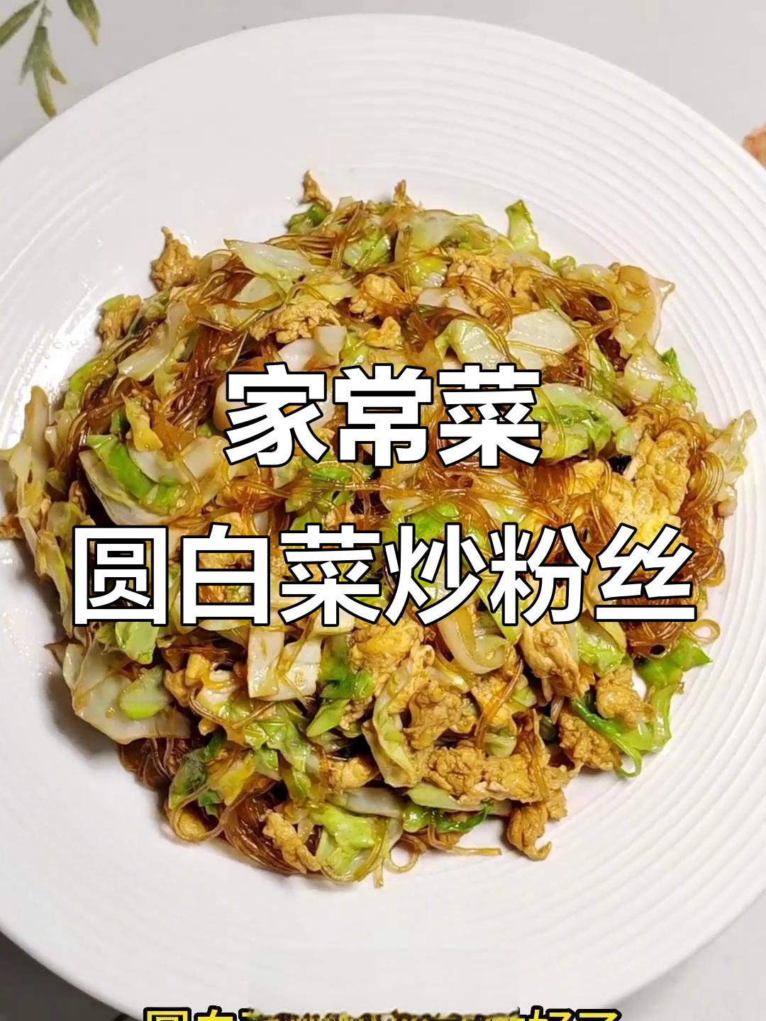 圆白菜炒粉丝,咸鲜爽口又下饭,家常味十足