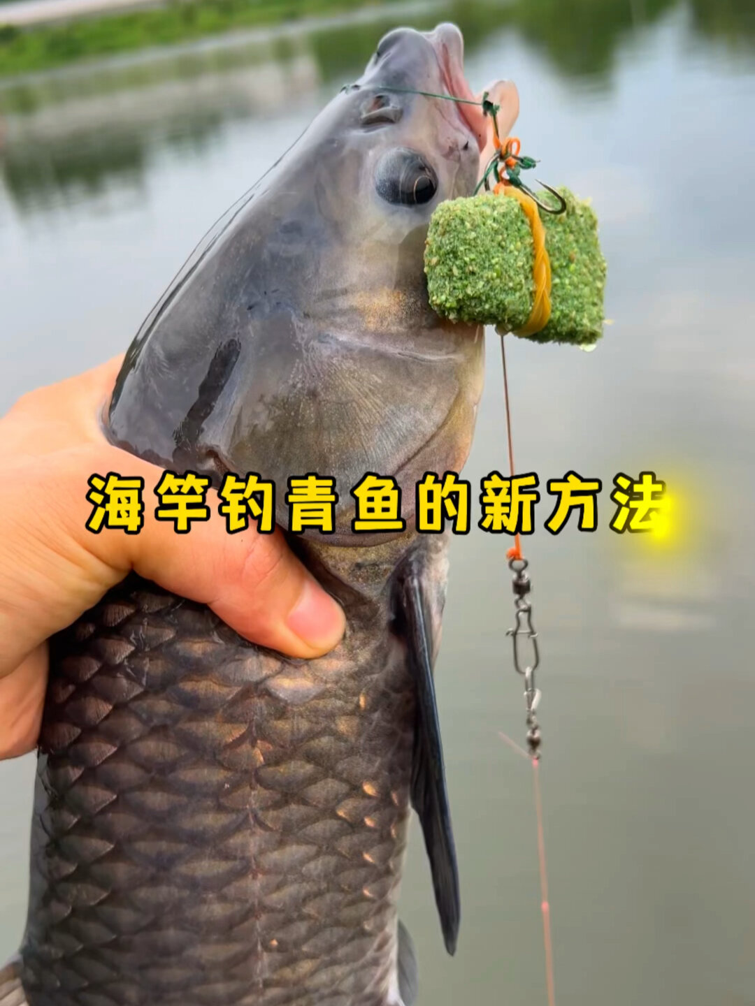 冬季海竿钓大青鱼的新方法 钓鱼教学