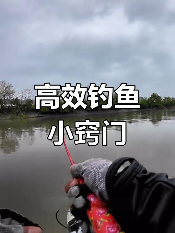 潮汐河钓鲈鱼技巧,掌握这些让你事半功倍