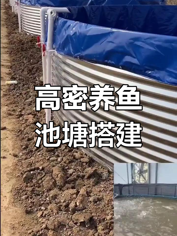 圆形高密度鱼池建设与养殖技术