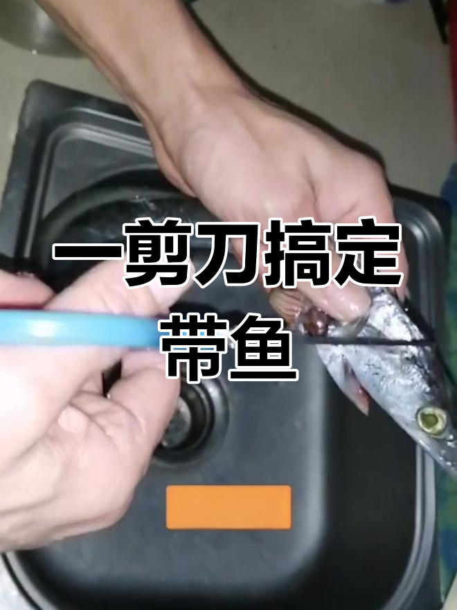 快速去鱼头技巧,带鱼肉轻松分离