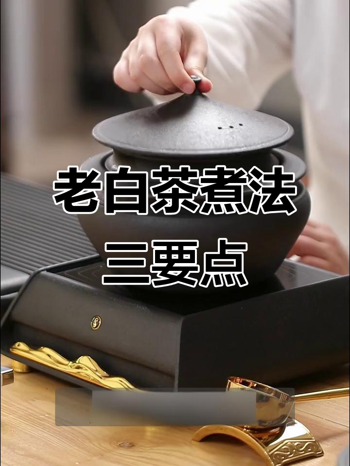 煮老白茶的三大技巧，掌握这些让茶香更浓郁