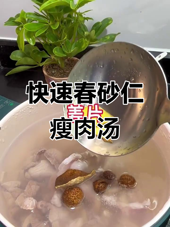十分钟搞定春砂仁瘦肉汤,简单又美味!